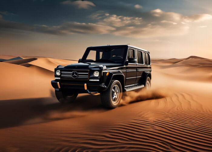 Private Luxury Setup Desert Safari