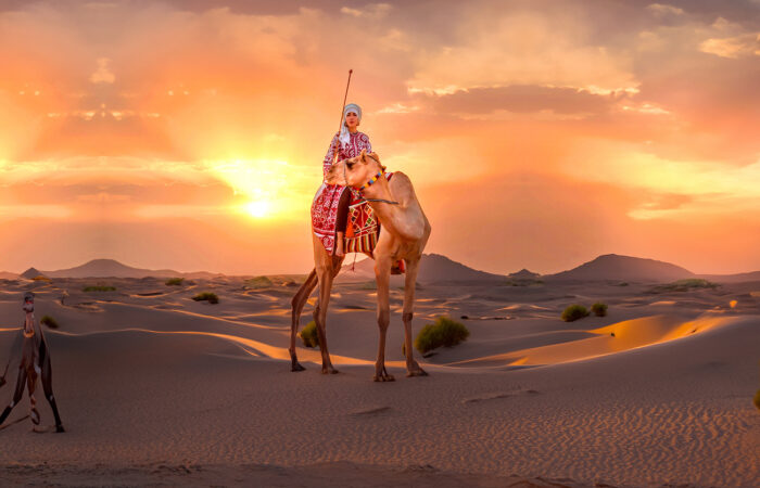 Arabian Private Desert Safari