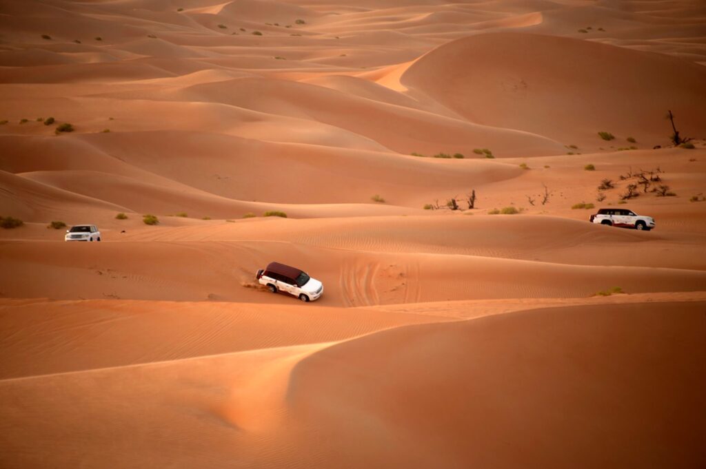 Private Luxury Setup Desert Safari