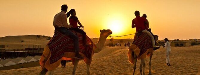 Arabian Private Morning Safari