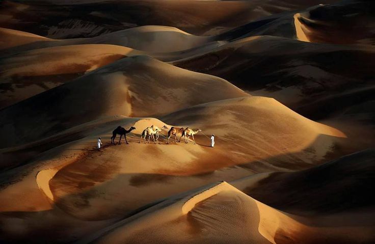 Arabian Evening Desert Safari