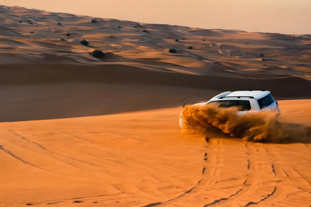 Private Luxury Setup Desert Safari