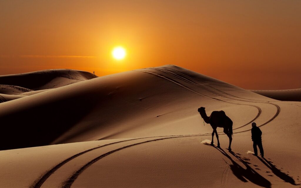 Arabian Evening Desert Safari