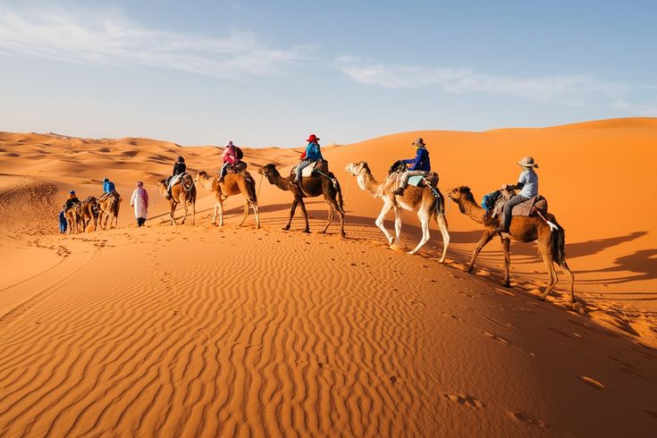 Arabian Evening Desert Safari